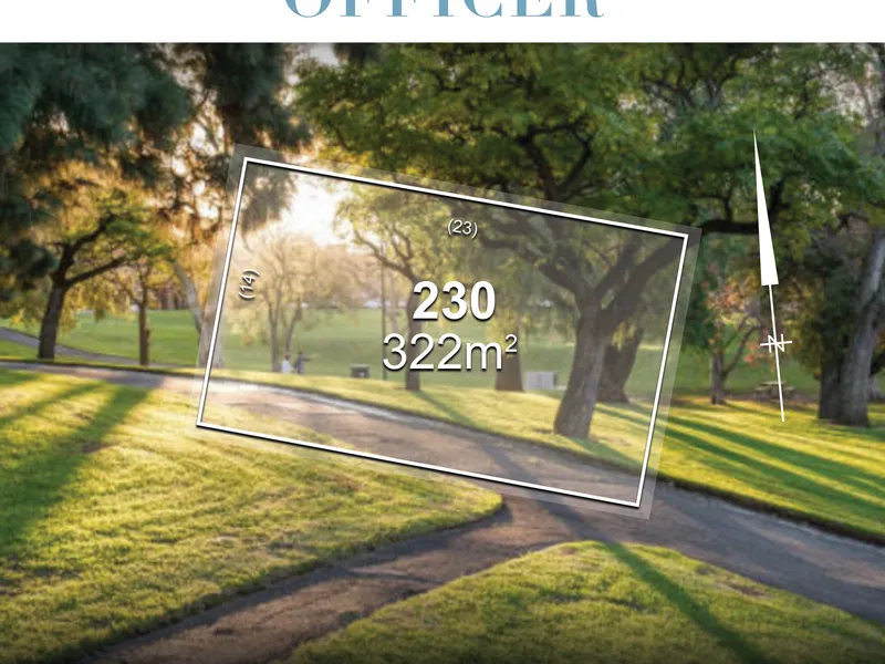 The Investment You Are Looking For Your Family