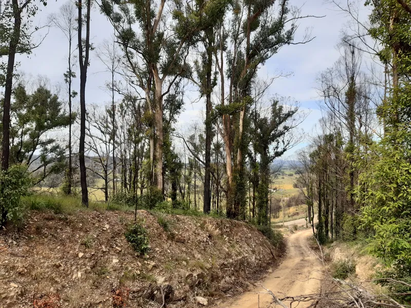 Large block close to town