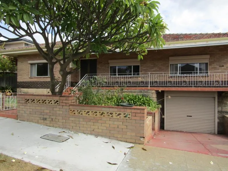 PERFECT YARD FOR PETS