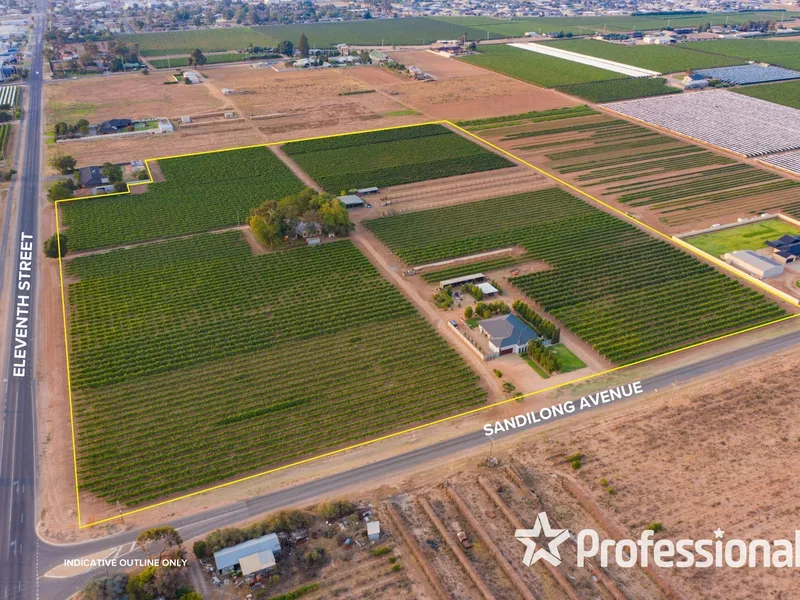 Impressive City Edge 19 Acre Vineyard