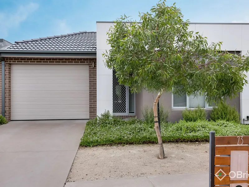 3 Bedroom Light Filled Home!