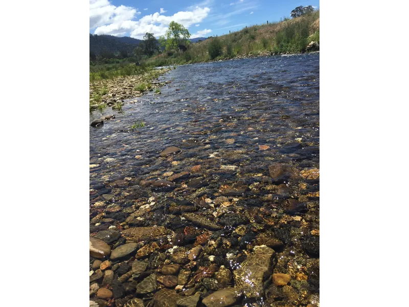 Dargo – rarest of opportunities