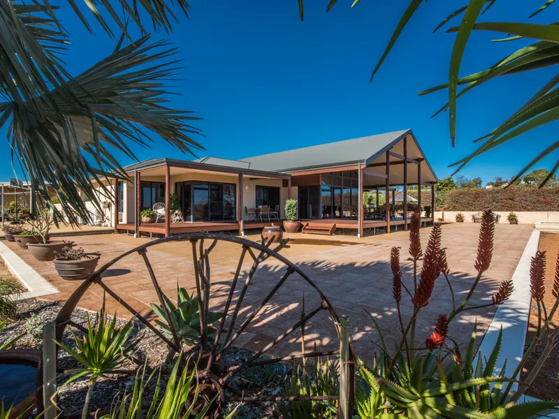 Your Future Dreams Start Here!