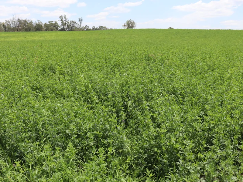 The Ultimate Irrigation Starter Farm - Makes $$$