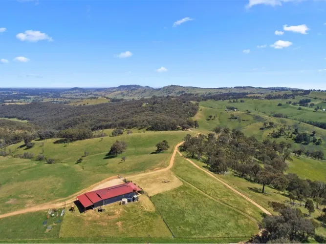 “Castle Hill” - Run To Paradise on 215 acres