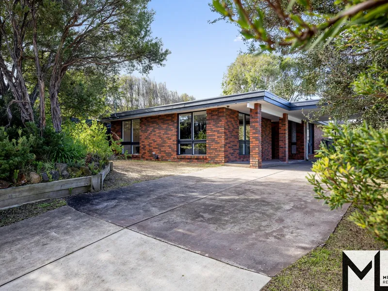 What A Little Ripper