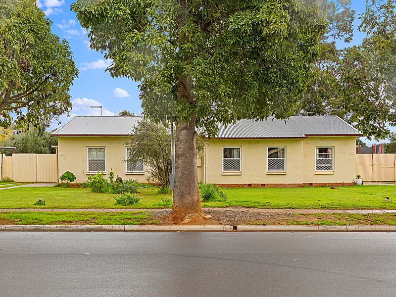 Two side-by-side homes across from a park