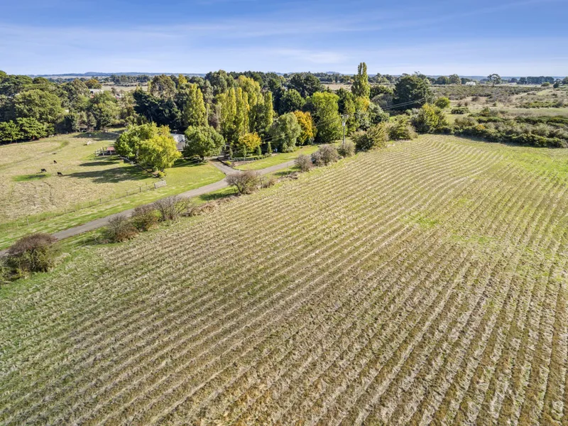 3.75 Acres with Ability to Build