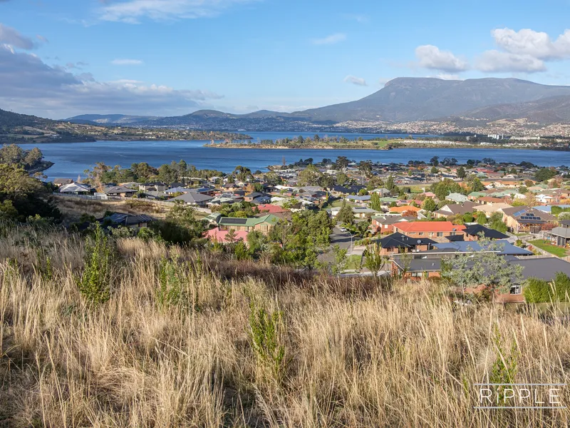 DID SOMEONE SAY LAND