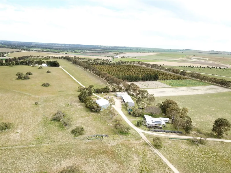 Lifestyle and Mixed Horticulture near Lancelin W.A