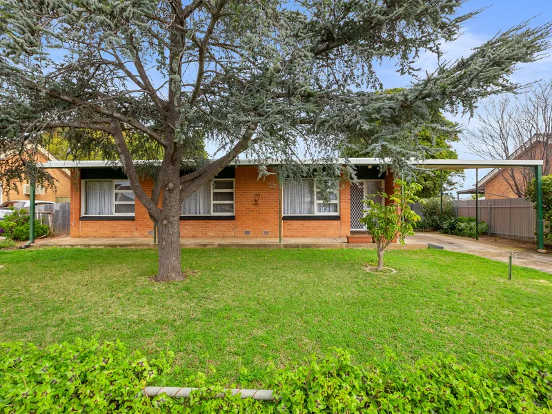 Family Home on Huge Allotment in Great Location