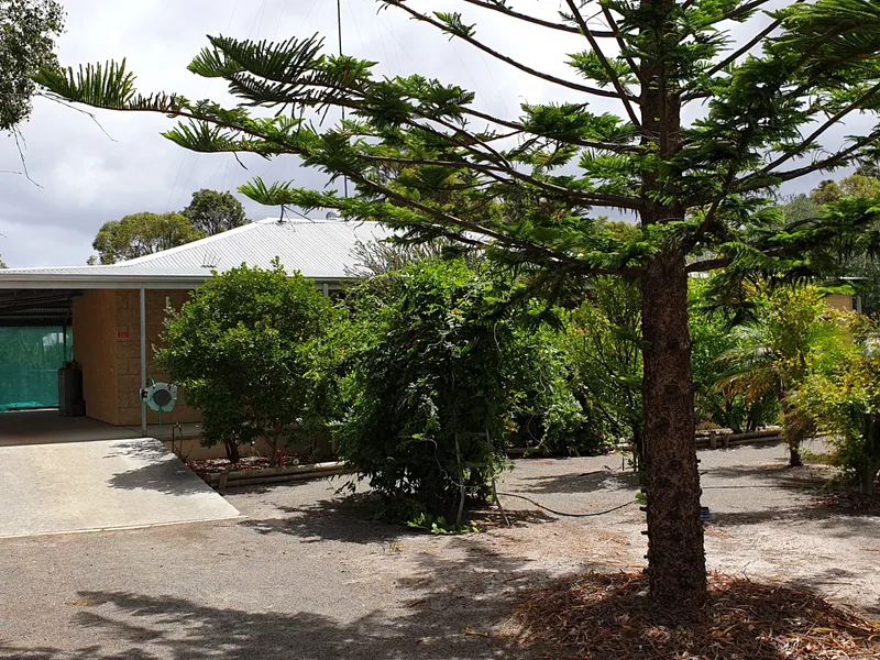 Opportunities Abound