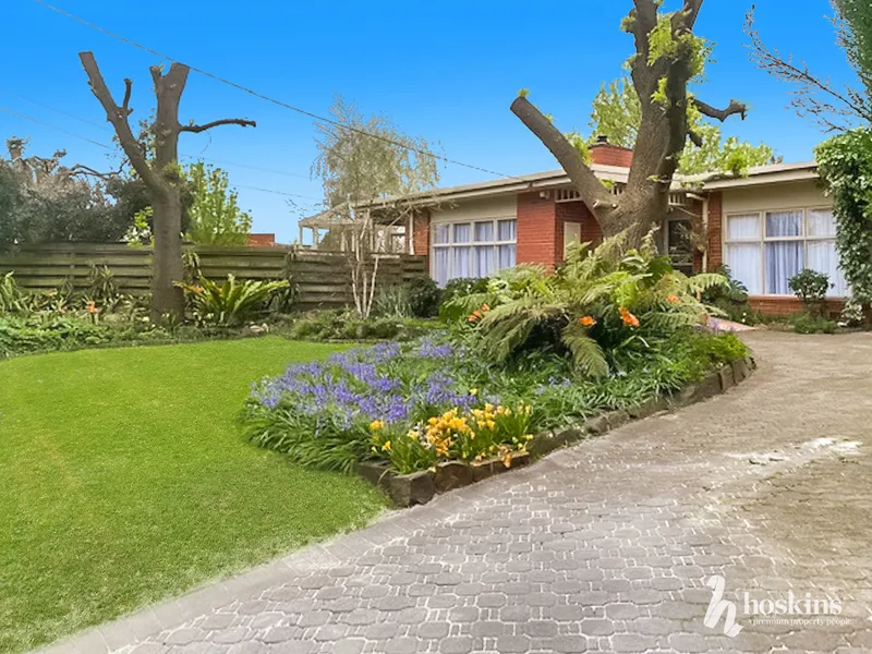 Great Court Location