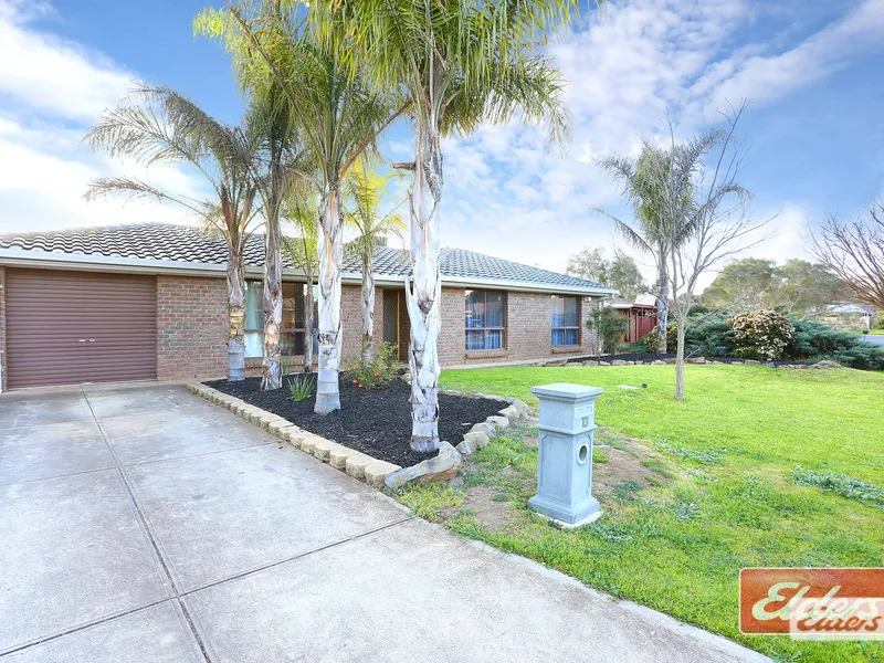 Great Size Yard and Sheds!