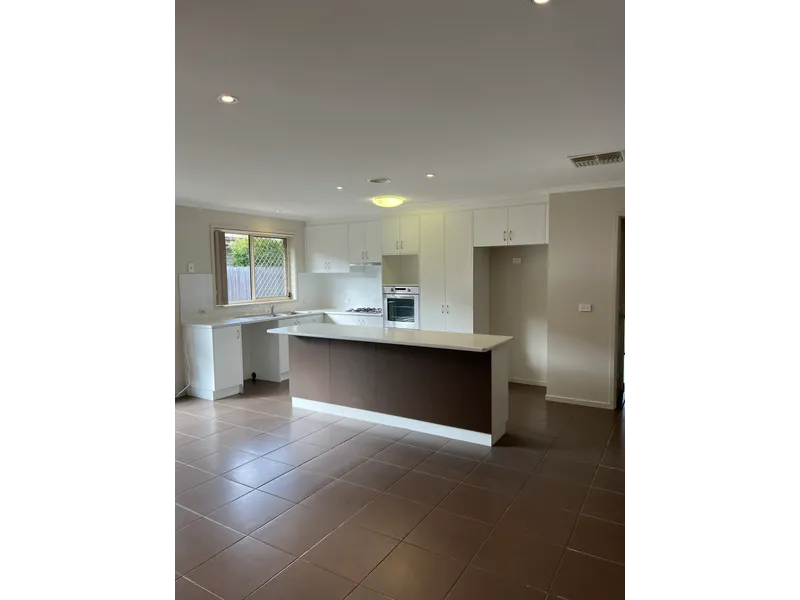 Homely Harrison - Available Now!