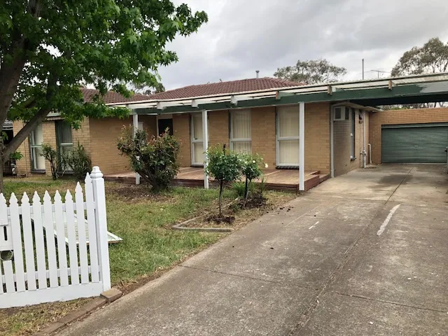 Perfect for the Family!