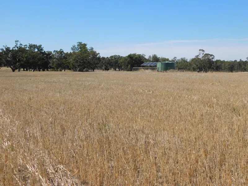 Lifestyle / Income or Broadacre Farming