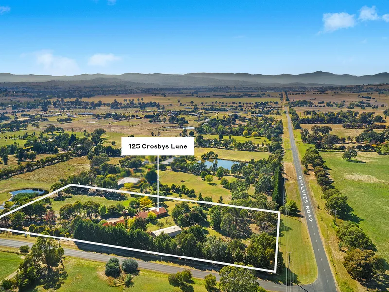 Mountain Views + Country Living In Town on 4.64 acres