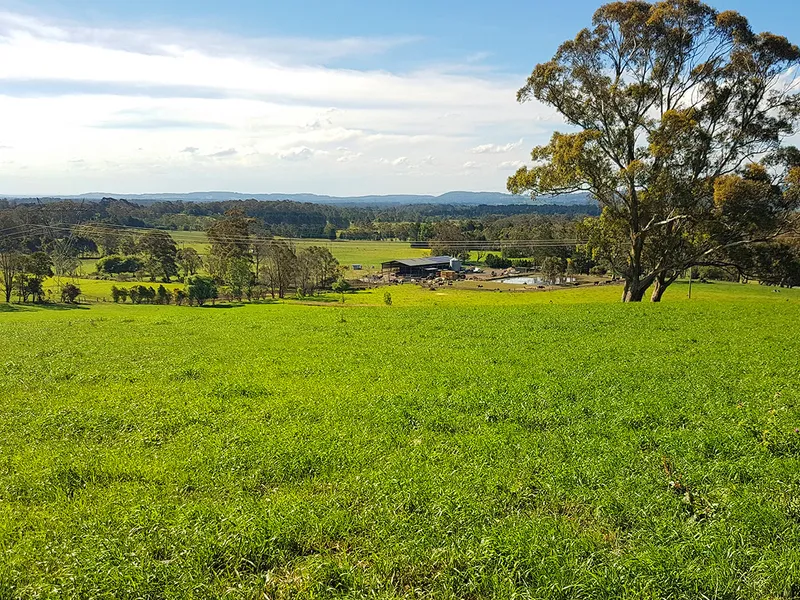 Mayberry Farm - Big & Beautiful Burrawang Property
