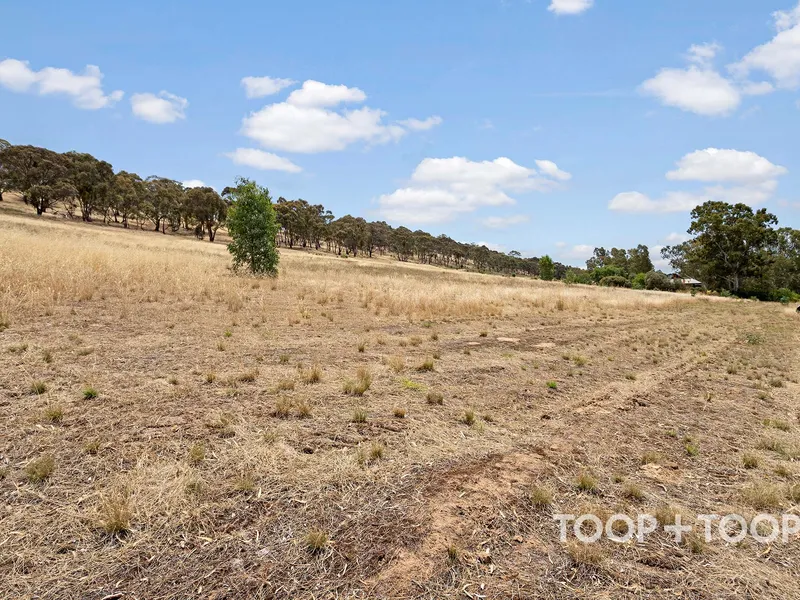 Great Opportunity in the Clare Valley