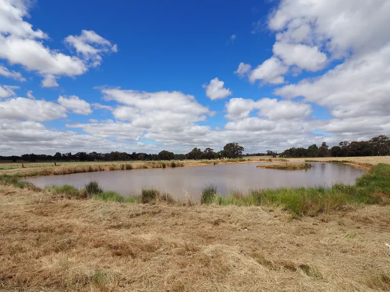 8.083HA (19.97 Acres) Selling With Permit - Great Possibilities and Potential