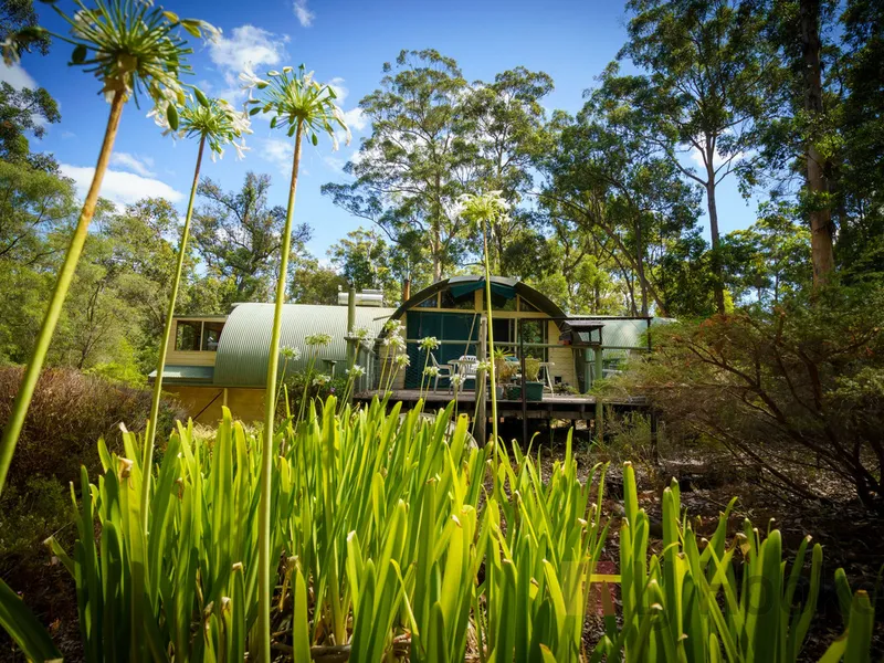Forest Retreat
