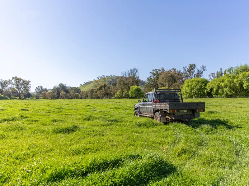 High Rainfall Grazing Scale with Exclusive Tumut River Flats