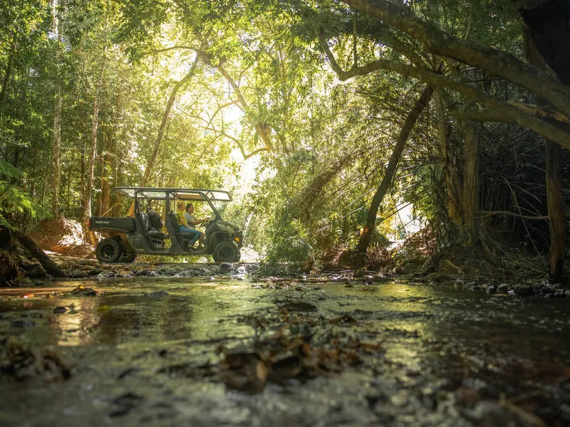 Barron Falls Estate - Unique Rainforest Acreage Opportunity