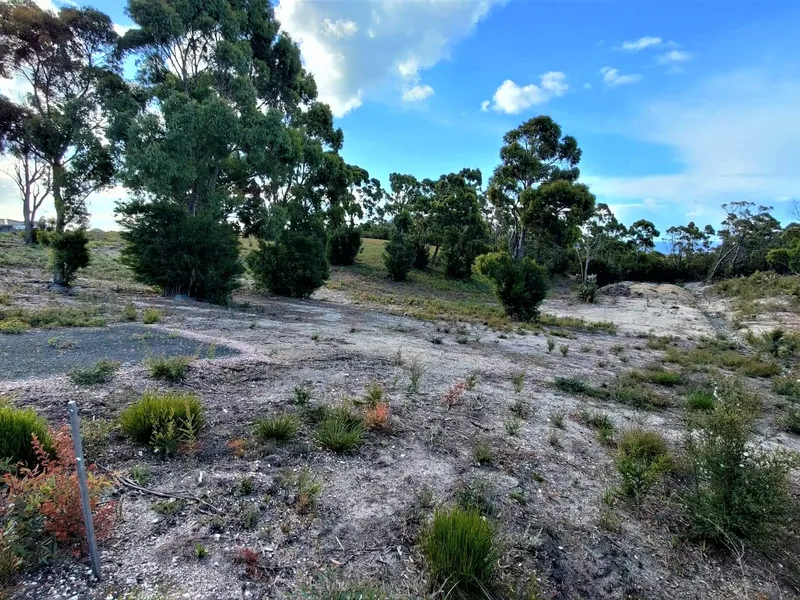 Not to late to build your dream home.