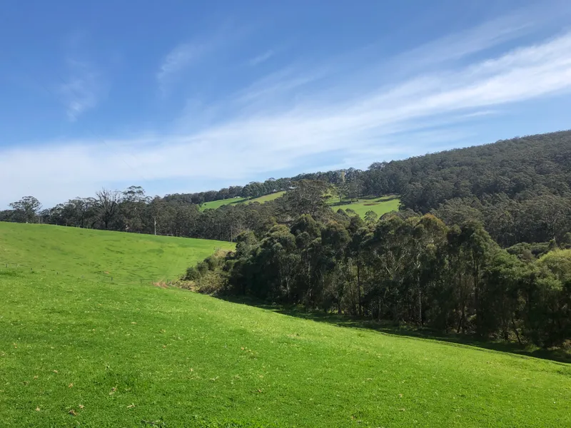 Water, Karri & North Facing Hills
