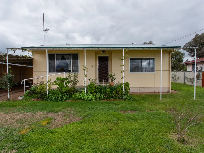 The Perfect Investment or Starter