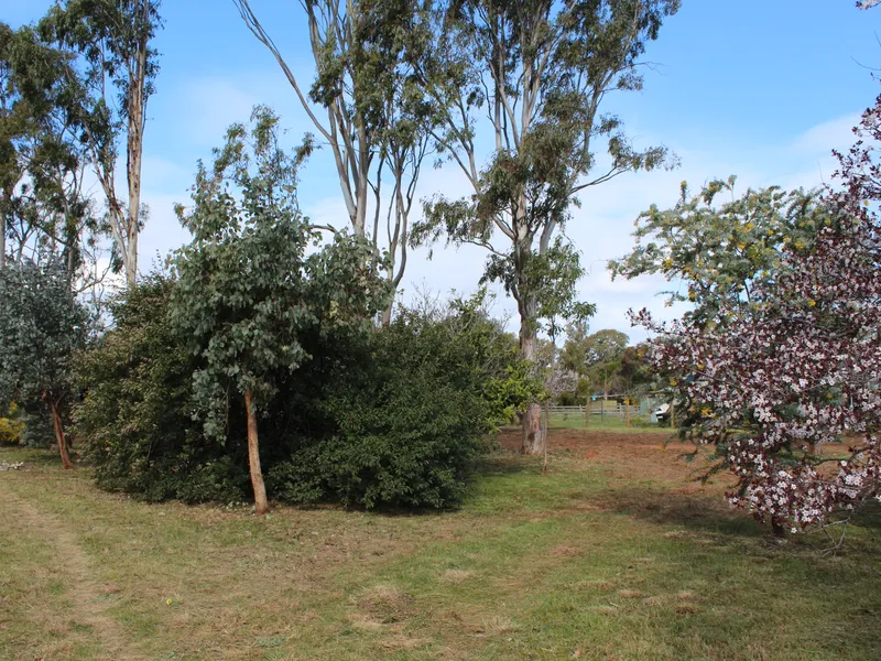ROOM TO BUILD AMONGST ESTABLISHED TREES