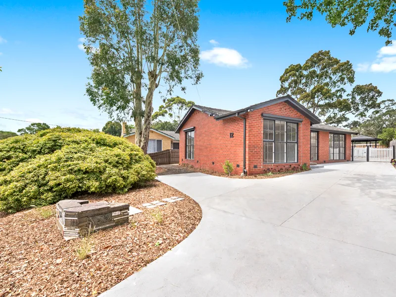 Beautifully Renovated Home in Family Friendly Location