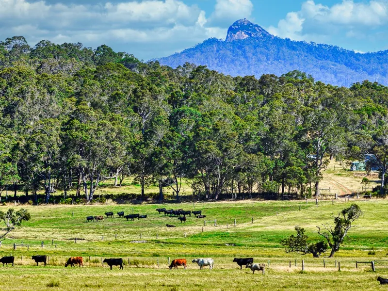IDYLLIC LIFESTYLE CHANGE LIVING AMONGST THE KARRI TREES.