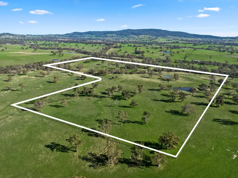 STUNNING VISTAS & THE COUNTRY DREAM