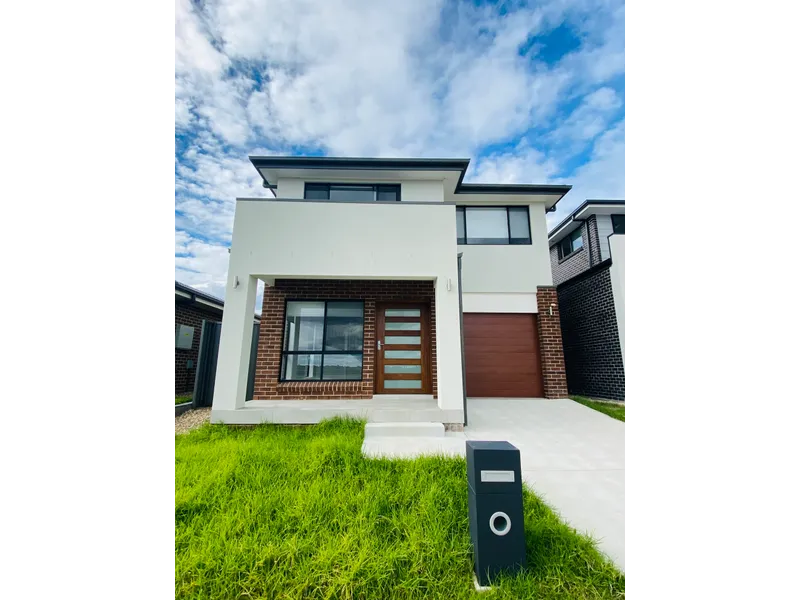 Brand New 4 Bedroom House For Rent