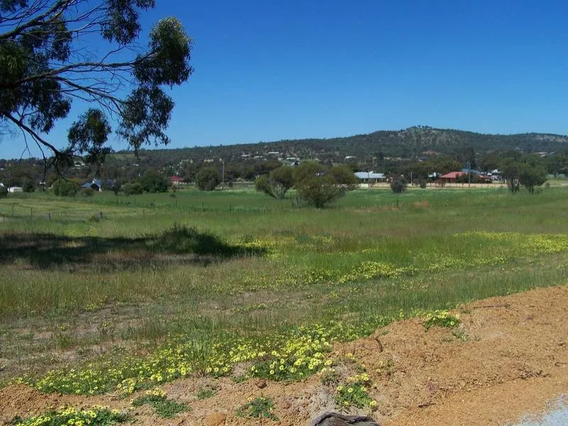 Great views, great price!