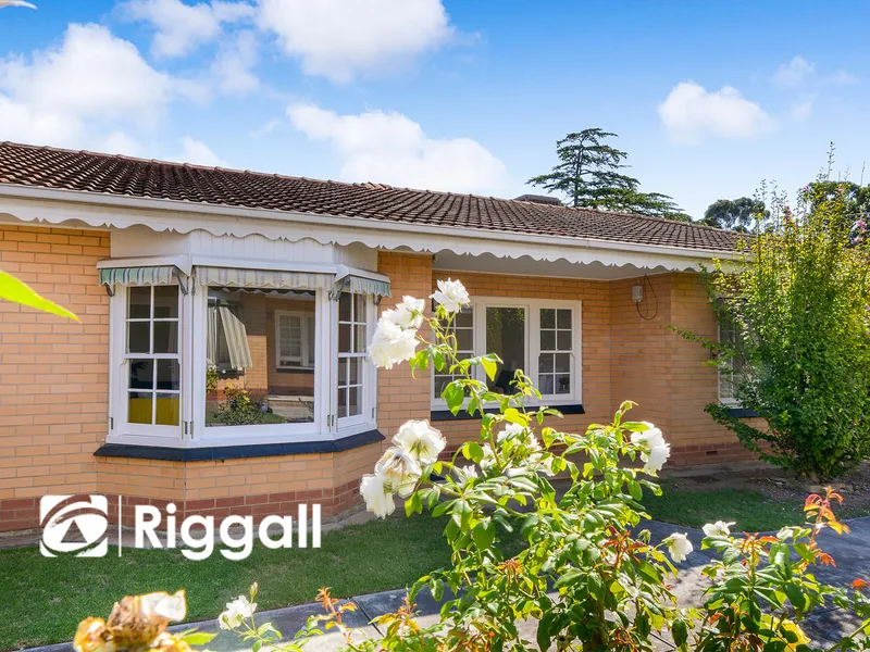 Cute & Sassy - Invest & Prosper