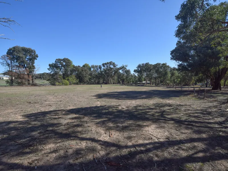 Vacant Land on the outskirts of Young