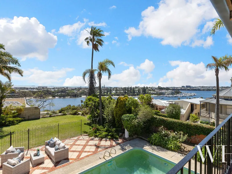 Life at the top: ocean and river panorama