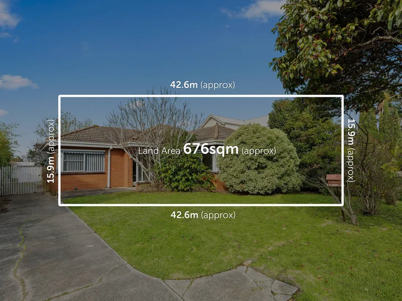 Position Perfect - Amazing Potential