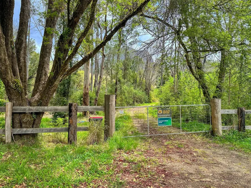 Dream Sanctuary at the Foothills of Mount Coxcomb - Ready to Build on 16.2ha!