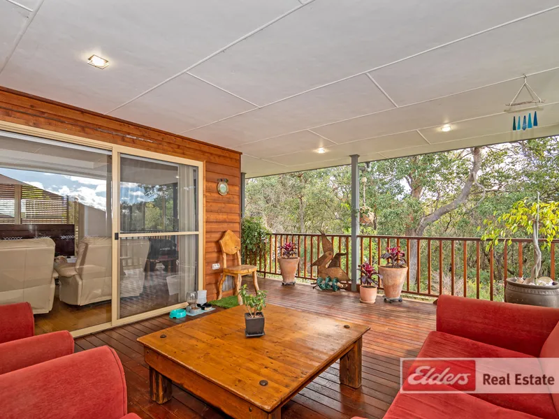 Beautiful Bush Views and Sunlight in Central Location!