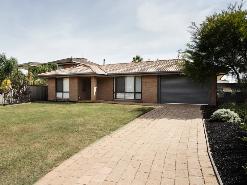 Renovated and Ready to go