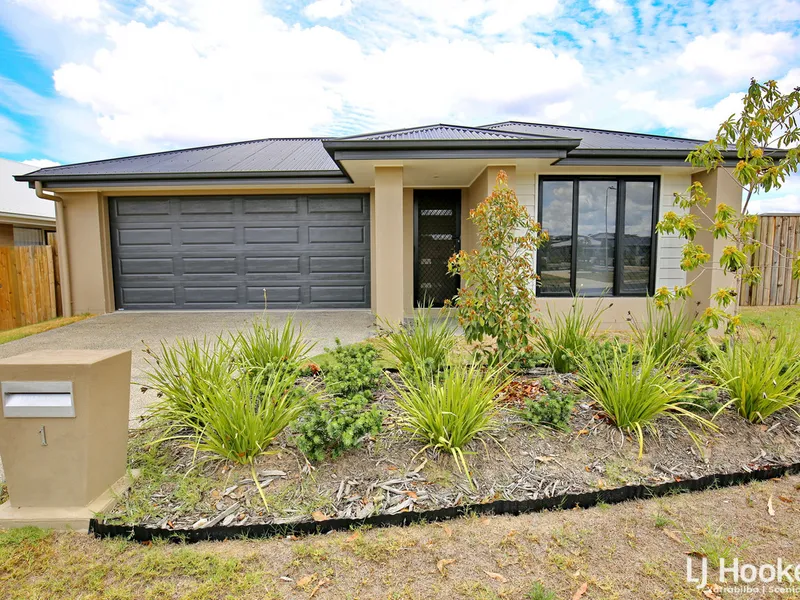 Open Plan Living with a Huge Back Yard!!