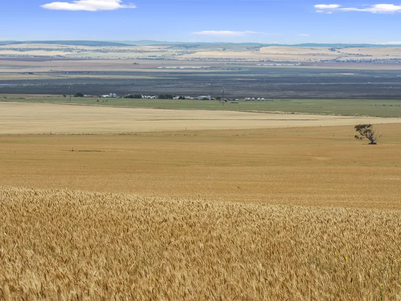 Fantastic opportunity-Multi Purpose land-The choice is yours