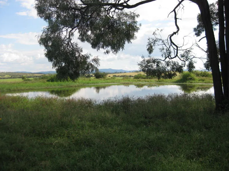 Cleared Quality Country 463 Acres (187.5ha) in Total - Two Titles $1,500,000 OWNER WILL CONSIDER OFFERS.