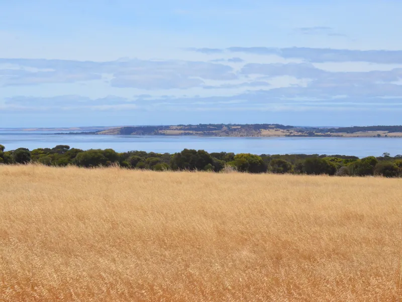 LOT 94 STEVENS ROAD, BAY OF SHOALS