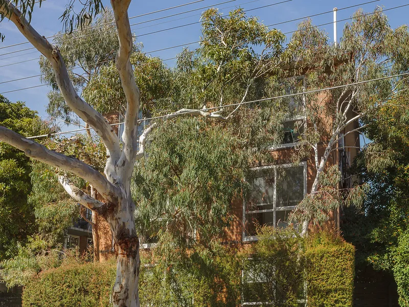 A Bright St Kilda Lifestyle