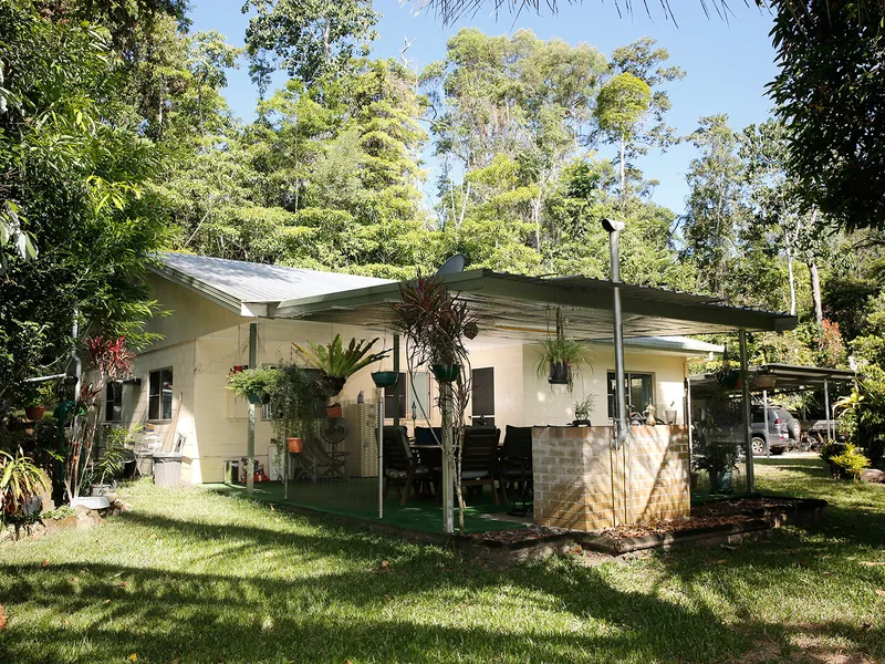 10 Acre Established, Rainforest Property, The Perfect Tropic Escape